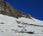 5 camosci ci tagliano la strada