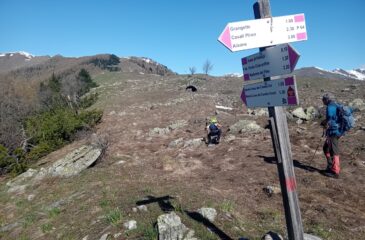 sulla cresta  Valle Stura,Vallone dell'Arma