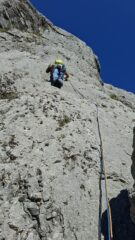 L 1 la bella placca compatta 