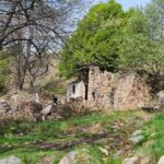 Case Fontanabruna