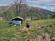 alpe seccio