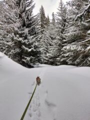 in salita lungo la poderale