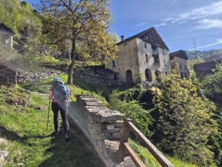 solivo