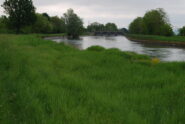 Il Canale Farini visto a monte della confluenza nel Cavour