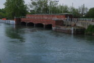 La confluenza del Canale Farini nel Canale Cavour presso la SP37