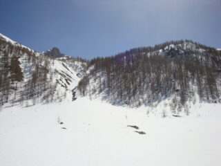 saliti nel bosco a destra, scesi lungo il rio: stretto ma....magnifique
