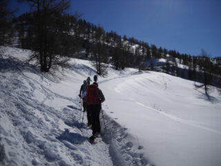 salendo verso monte Festa