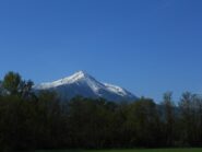 La Besimauda alla partenza