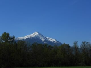 La Besimauda alla partenza