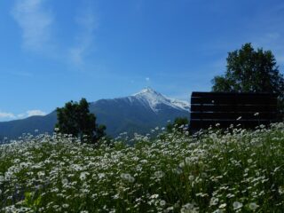 Big Bench Montrucco
