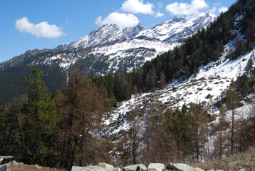 Cime Noire e M. Ruvic dall’alpeggio