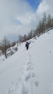 Direzione colletta Barant
