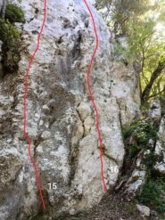 15 cercando cercando, 16 falsi amici