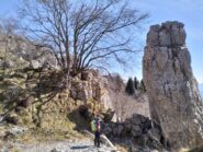 oplus_0