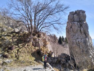 oplus_0
