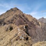 oplus_0