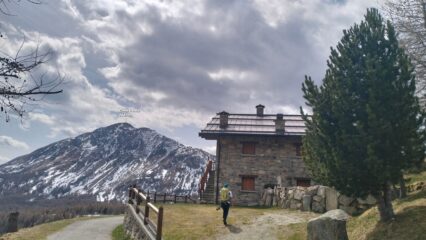 oplus_0