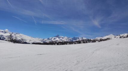 oplus_0