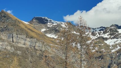 La vetta da Cheneil (poco sopra): poca neve quest'anno, pare impossibile arrivare sci ai piedi ma invece si riesce