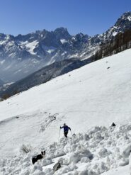 La grande valanga all’imbocco del vallone