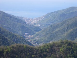 Recco dalla cima del Tugio