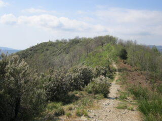 Verso la cima 