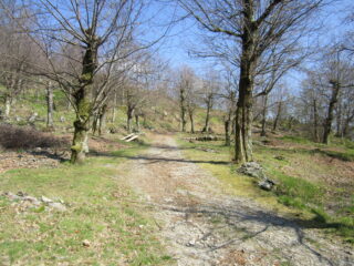 Località Teche