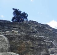 Tettino finale, 5c