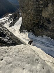 La pinna, oggi rinfrescante ma difficilmente scalabile.