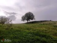 Il passaggio sotto il bric Andio.