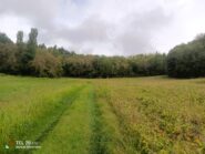 Dove una foresta sembra sbarrare il passo.