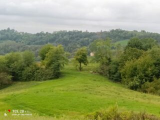 Sulla pista erbosa che scende verso la provinciale Marentino-Sciolze.