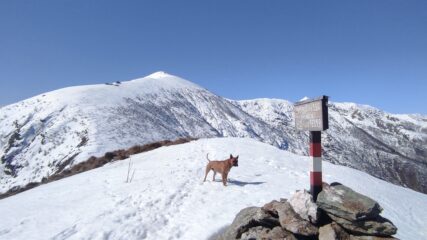 Cima Pessa