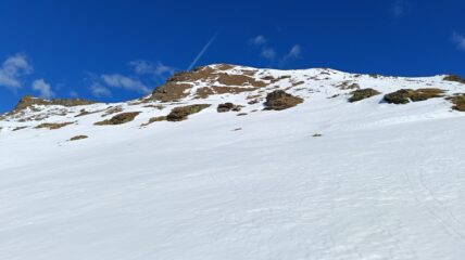 Oplus_0