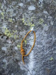 Attacco della via