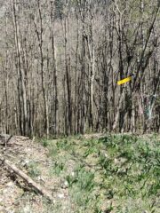 La palina nascosta all'inizio del bosco dopo aver attraversato il prato iniziale