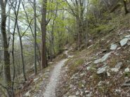 Verso il Rifugio Pian delle Bosse.