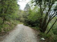 La lunga sterrata che dal Giro di Loano arriva al Colle di Balestrino 