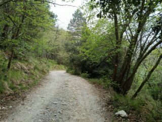 La lunga sterrata che dal Giro di Loano arriva al Colle di Balestrino 