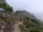 Salita al Monte Acuto 