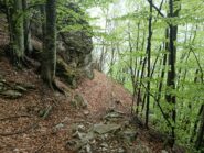 Discesa a Nord del Monte della Guardia 