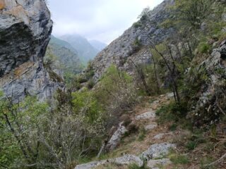 Orrido di Prale 