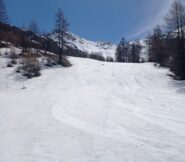 Quasi in fondo alla 32,  bellissima 