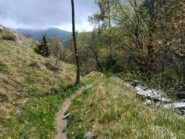 Sentiero per il Rifugio Pian dell' Arma e Madonna Guarnieri 