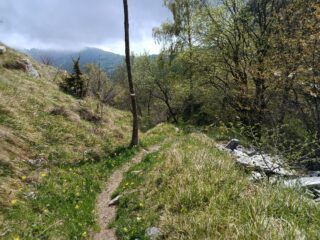 Sentiero per il Rifugio Pian dell' Arma e Madonna Guarnieri 