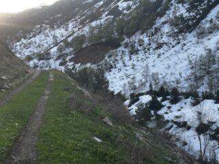 salendo a piedi, uno sguardo indietro. Sulla destra la neve che utilizzerò per scendere