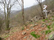 Bivio per Madonna della Bassa- Arpone. Sopra il Colle Portia
