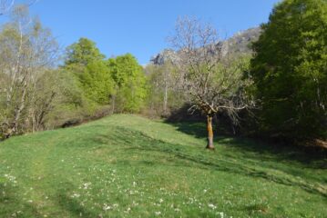 Partenza con il sole