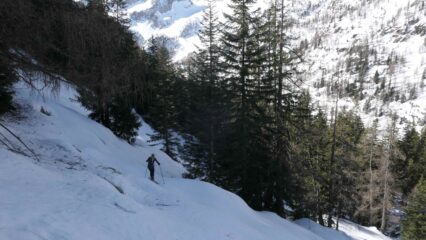 Nel ripido bosco dopo il fiume