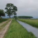 Si parte da S. Giacomo costeggiando il Canale del Rotto
